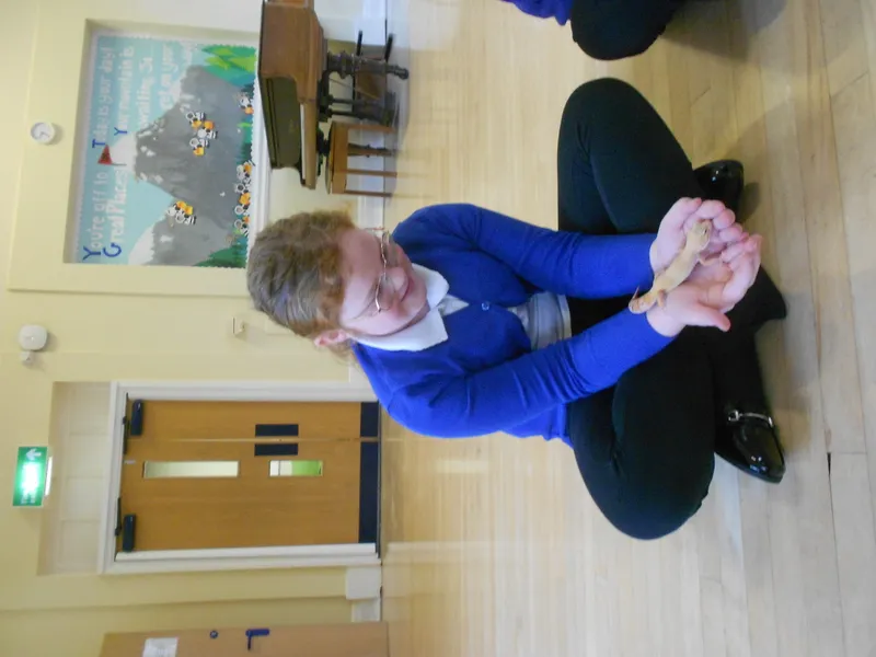 Y6 Reptile Rendezvous - image 28