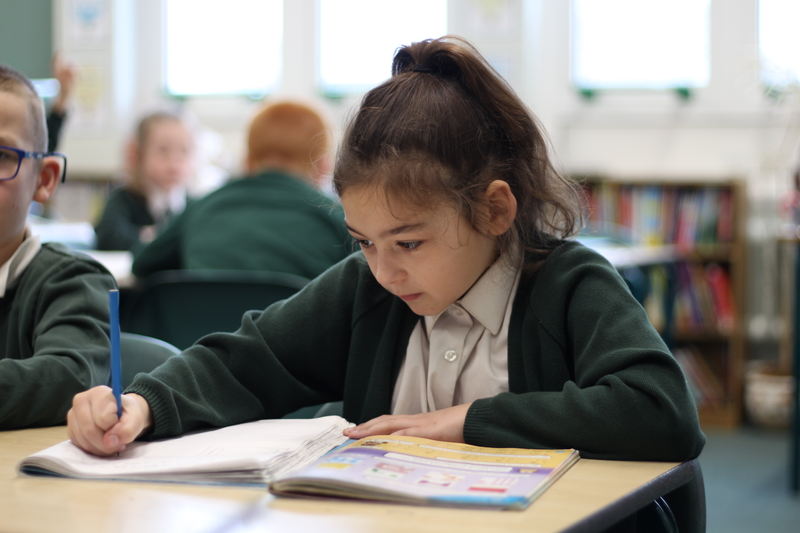 Hafan / Home | Mountain Lane School