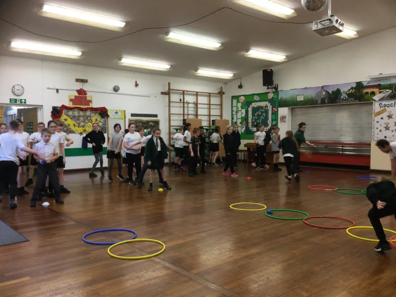 Chestnut net and wall games - image 6