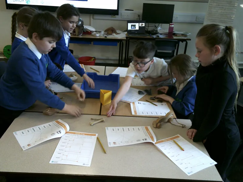 Y4 Roman Archaeology Workshop - image 9