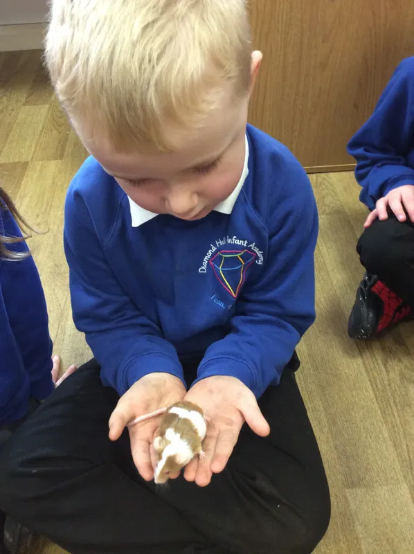 Gallery - created at 2024-03-05 13:52:56 - image 60 Gallery - created at 2024-03-05 13:52:56 - image 60