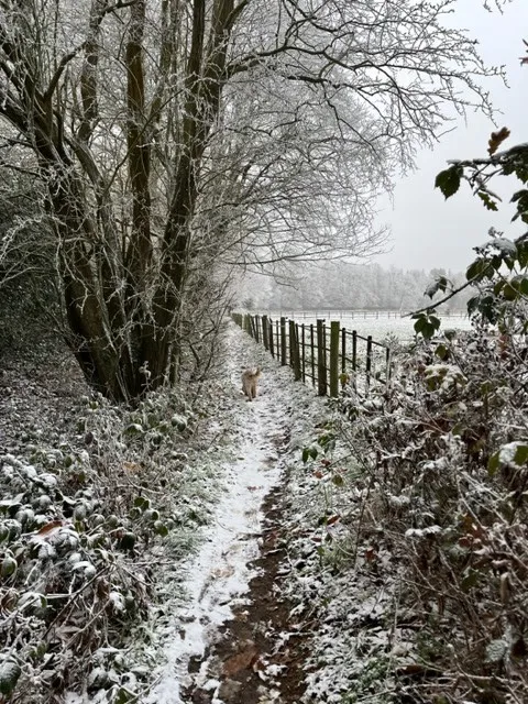 Gallery - created at 2022-12-13 08:04:26 - image 1