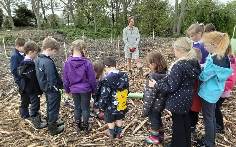 Gallery - created at 2025-04-30 13:12:16 - image 12 Gallery - created at 2025-04-30 13:12:16 - image 12