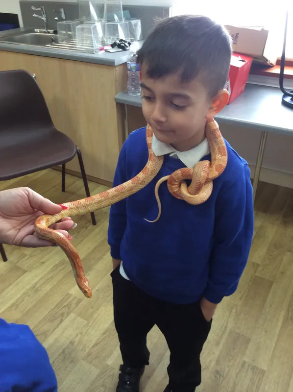 Gallery - created at 2024-02-26 17:15:57 - image 61 Gallery - created at 2024-02-26 17:15:57 - image 61