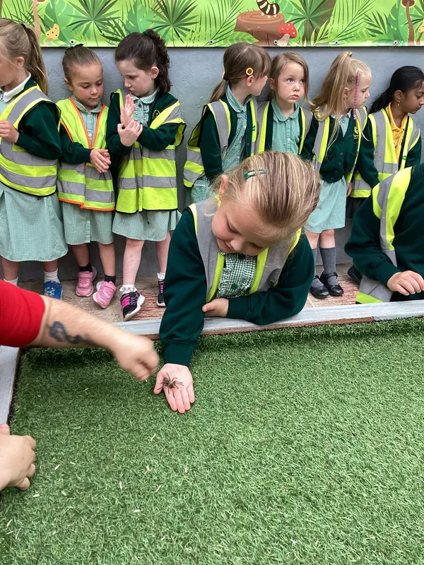 EYFS at Butterfly World - image 1