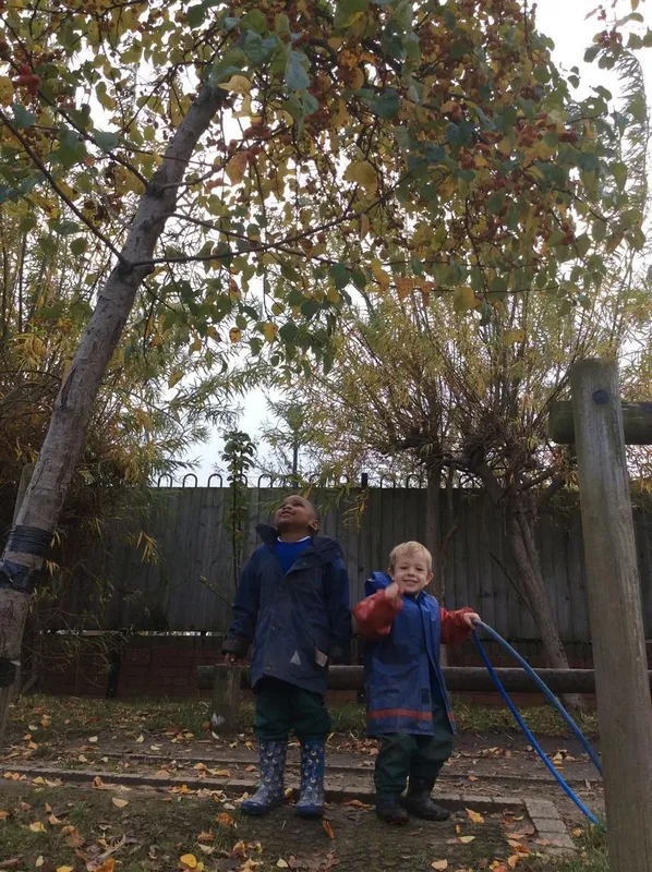 Gallery - created at 2024-02-15 10:37:57 - image 29 Gallery - created at 2024-02-15 10:37:57 - image 29