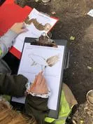 Forest School 72 - image 4 Forest School 72 - image 4