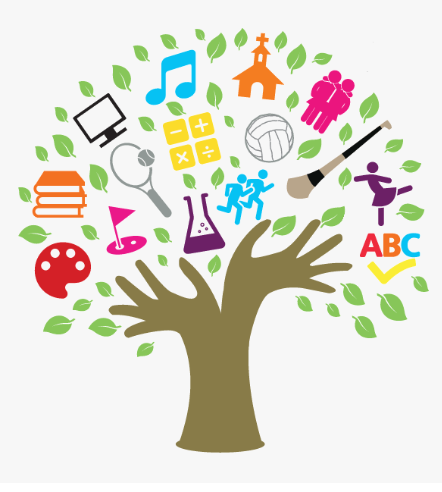 Curriculum