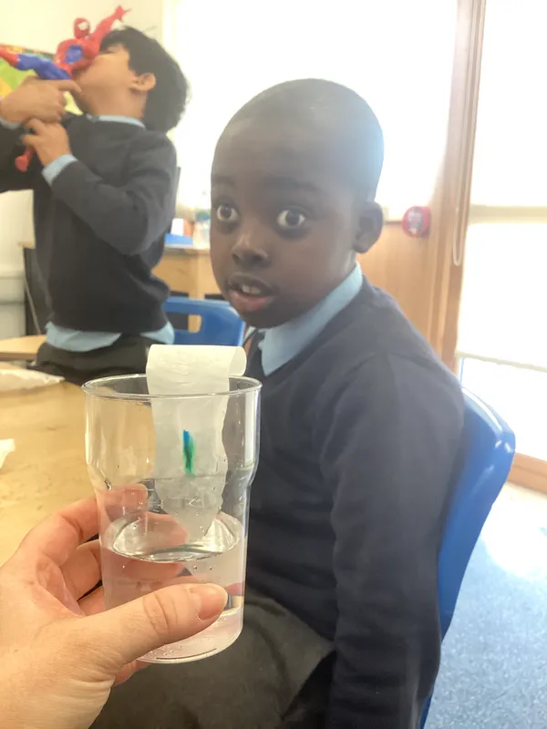 Science Week 2026 - image 41