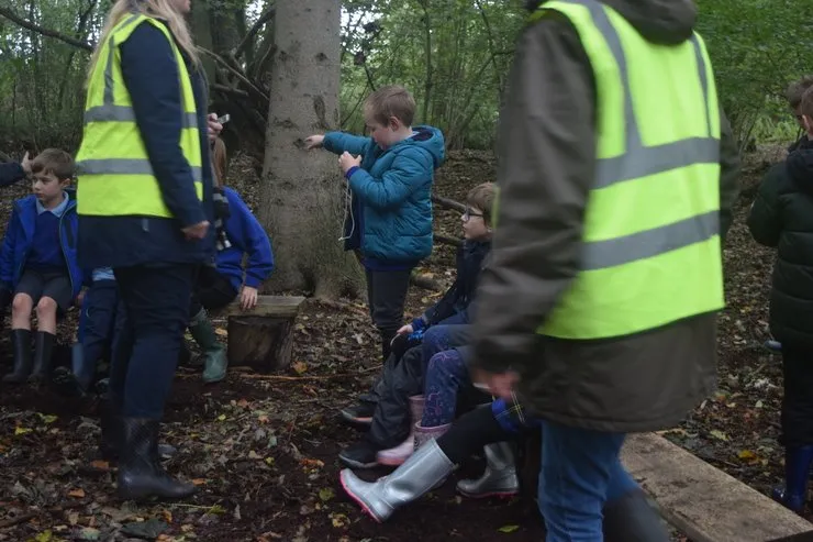 Gallery 6 - image 15