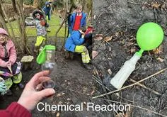 Forest School 49 - image 4 Forest School 49 - image 4