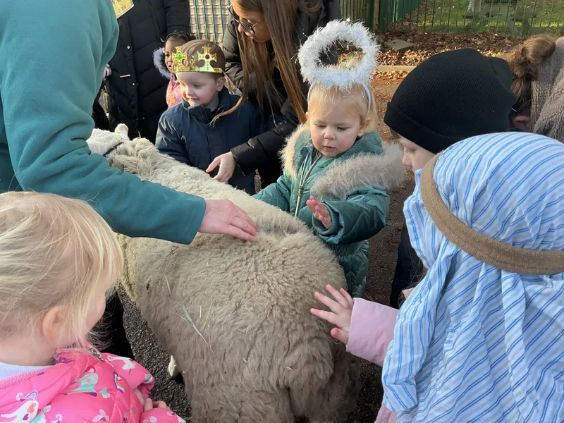 Stella farm on wheels Part 1 - image 19