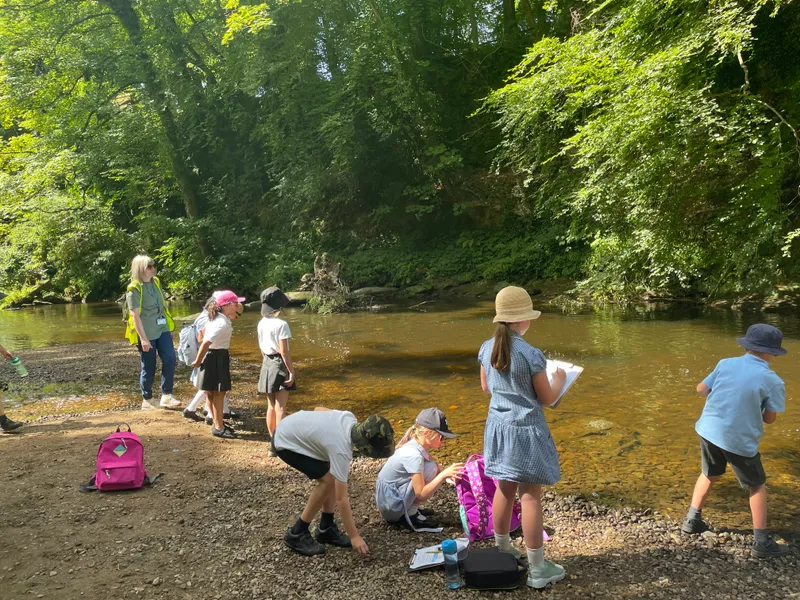 Gallery - created at 2022-07-12 21:08:27 - image 1 Gallery - created at 2022-07-12 21:08:27 - image 1