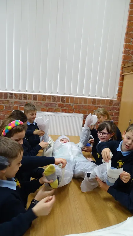 Swallows enjoying their trip to Hull's Museum Quarter - image 8 Swallows enjoying their trip to Hull's Museum Quarter - image 8