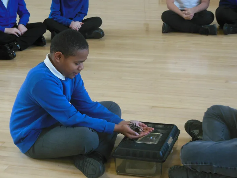 Y6 Reptile Rendezvous - image 15