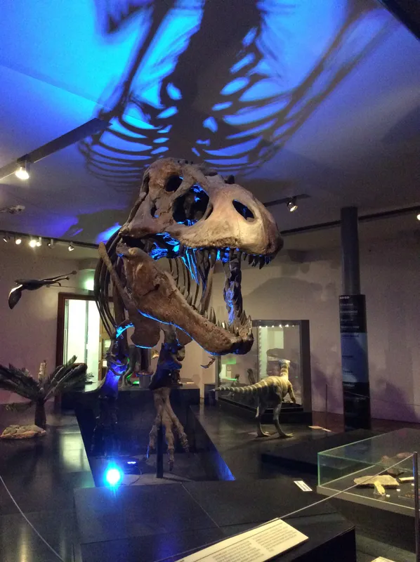 Gallery - created at 2024-02-09 11:53:37 - image 75