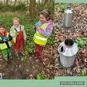 Forest School 42 - image 2 Forest School 42 - image 2