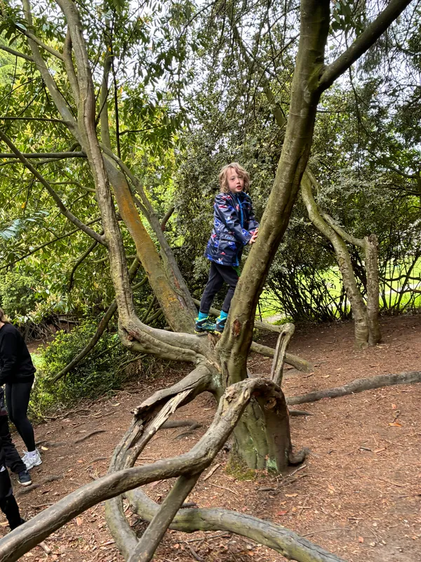 Year 3 Losehill Residential 2026 - image 67