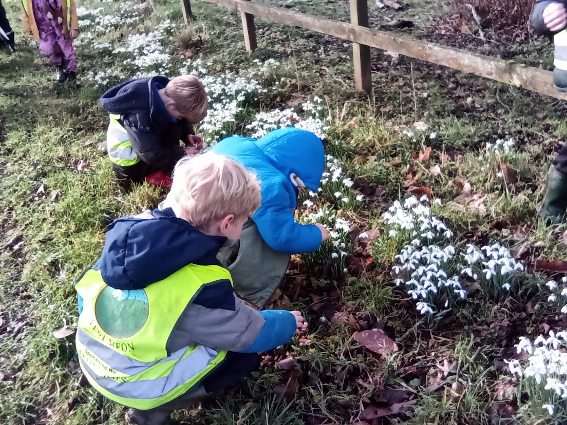 A Walk in the park and Pancake Making