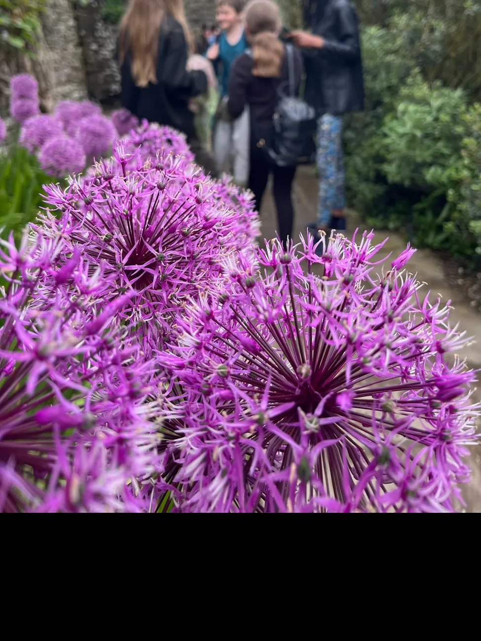 Gallery - created at 2024-06-06 15:19:10 - image 17