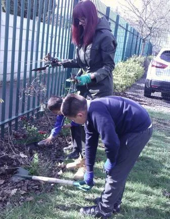 Gallery - created at 2018-01-17 17:01:31 - image 20