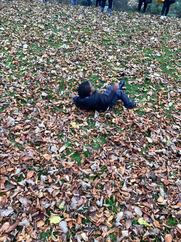 Gallery - created at 2024-11-08 10:10:59 - image 47 Gallery - created at 2024-11-08 10:10:59 - image 47