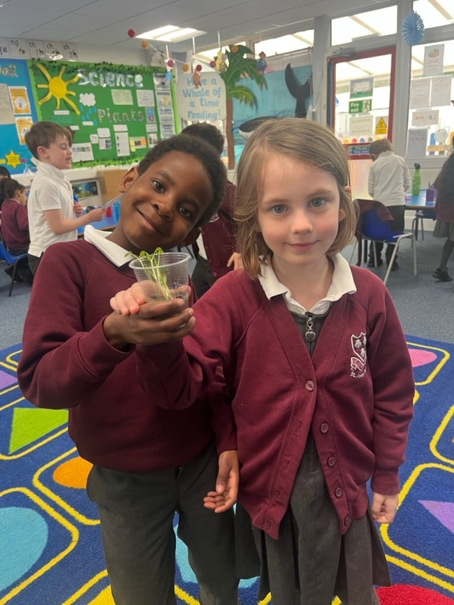Year 1 | St James CofE Primary School
