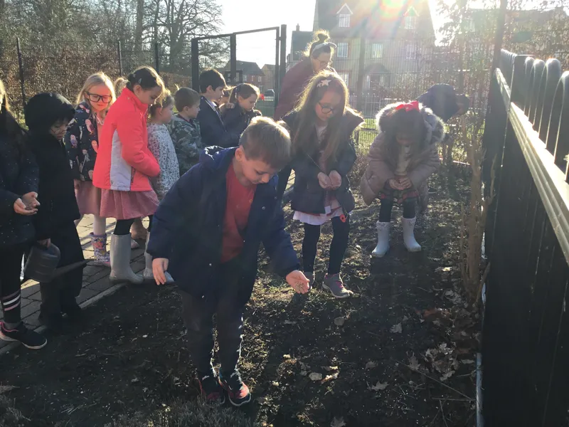 See our work in progress in this gallery! - image 30