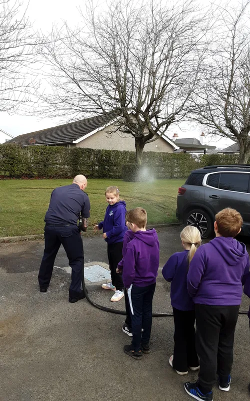 Gallery - created at 2025-03-27 11:04:23 - image 40 Gallery - created at 2025-03-27 11:04:23 - image 40