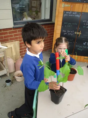 Giant Beanstalks - image 14