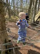 Forest School 134 - image 1 Forest School 134 - image 1