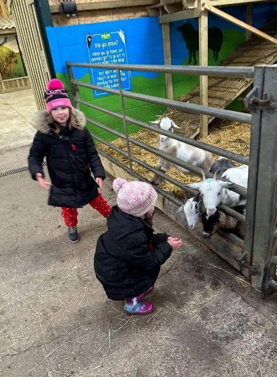 Gallery - created at 2024-01-29 10:19:28 - image 8