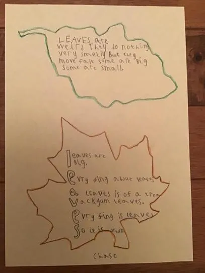 Gallery - created at 2020-12-01 10:12:28 - image 3