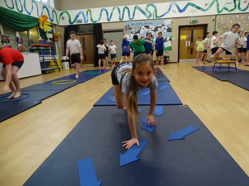 Ospreys Gymnastics Skills - image 16 Ospreys Gymnastics Skills - image 16