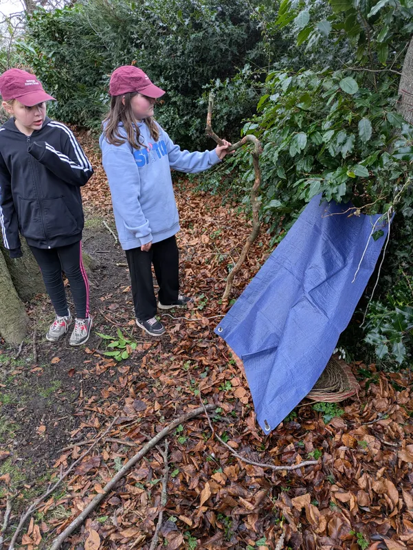 Gallery - created at 2025-02-23 10:17:08 - image 8