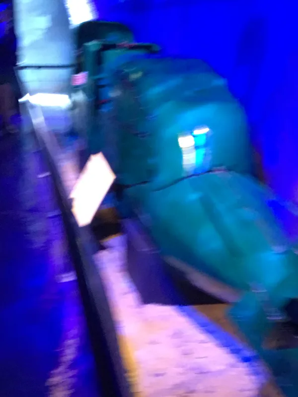 Eden camp 23rd Sept 2025 - image 6