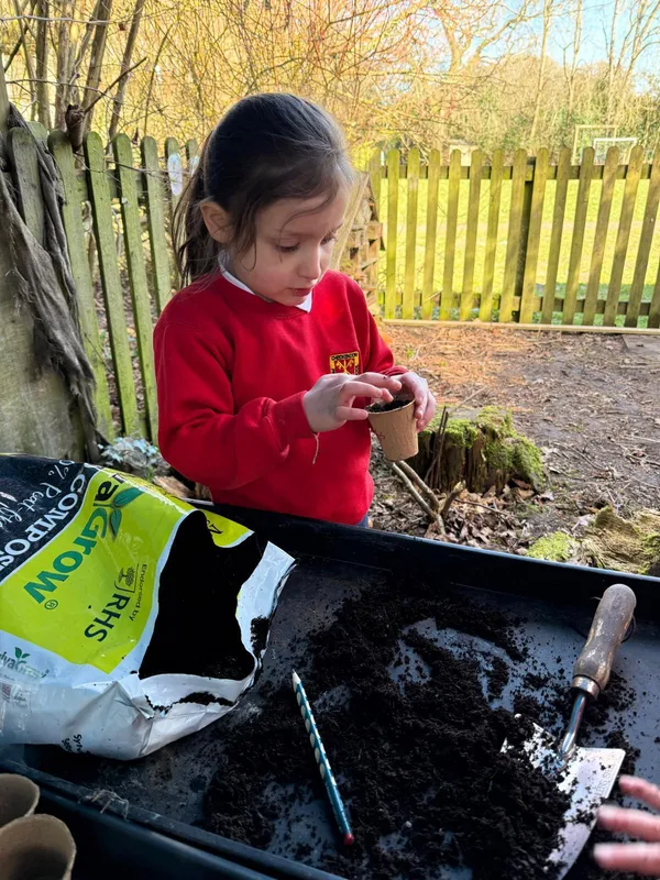 Gallery - created at 2025-03-23 10:29:25 - image 6