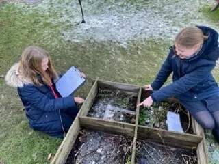 Gallery - created at 2023-01-24 16:02:32 - image 15