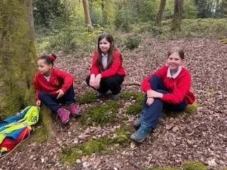 Gallery - created at 2024-04-26 15:50:17 - image 3