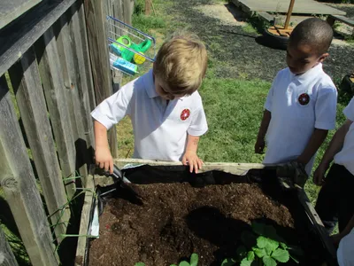Planting - image 47