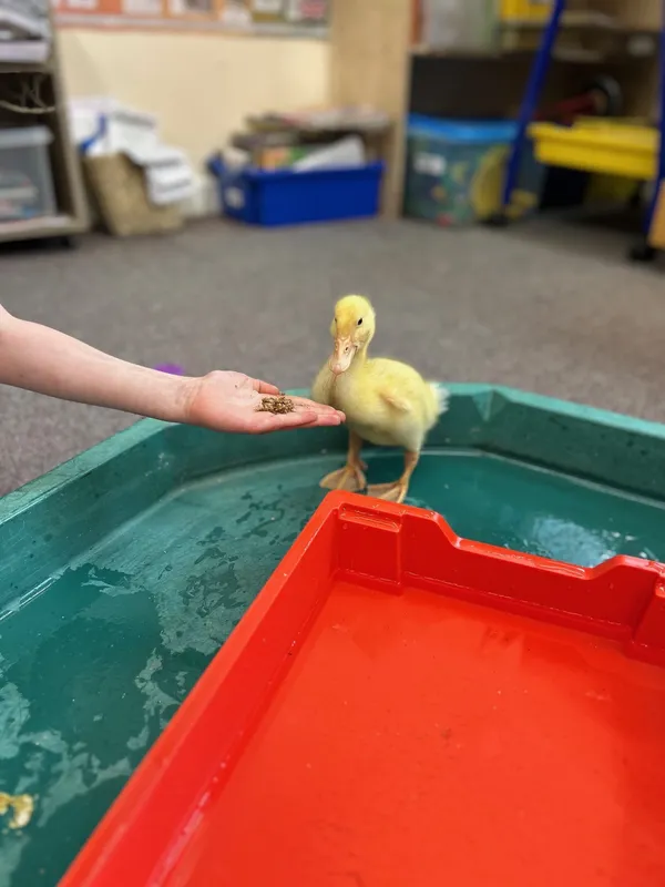 Gallery - created at 2025-06-27 11:32:16 - image 8