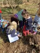 Forest School 134 - image 2 Forest School 134 - image 2