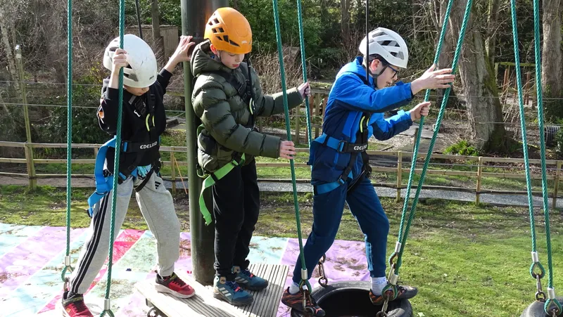 Spring Group - image 80