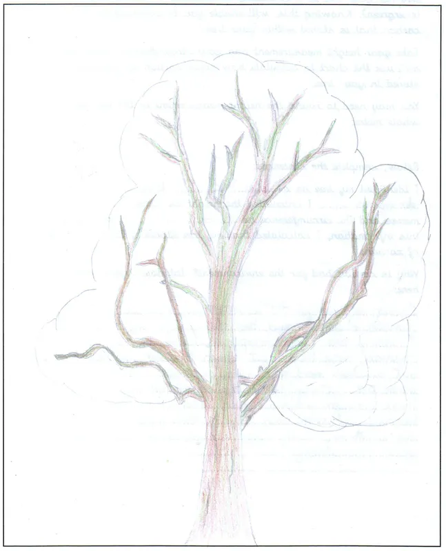 Gallery - created at 2021-09-13 09:25:12 - image 4