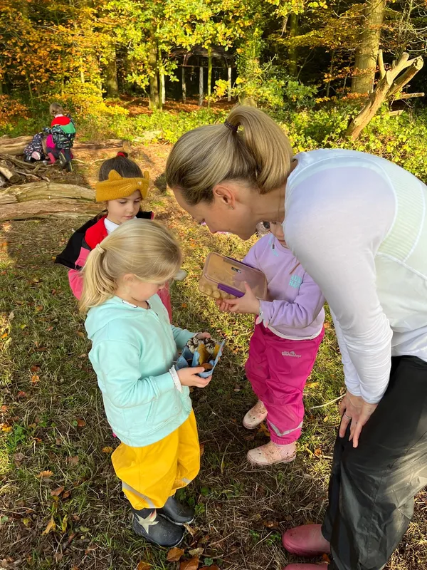 Gallery - created at 2022-11-14 17:15:19 - image 12