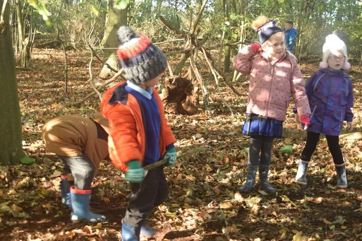 Gallery 4 - image 12