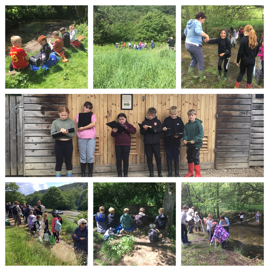 5W Dalby Forest Trip