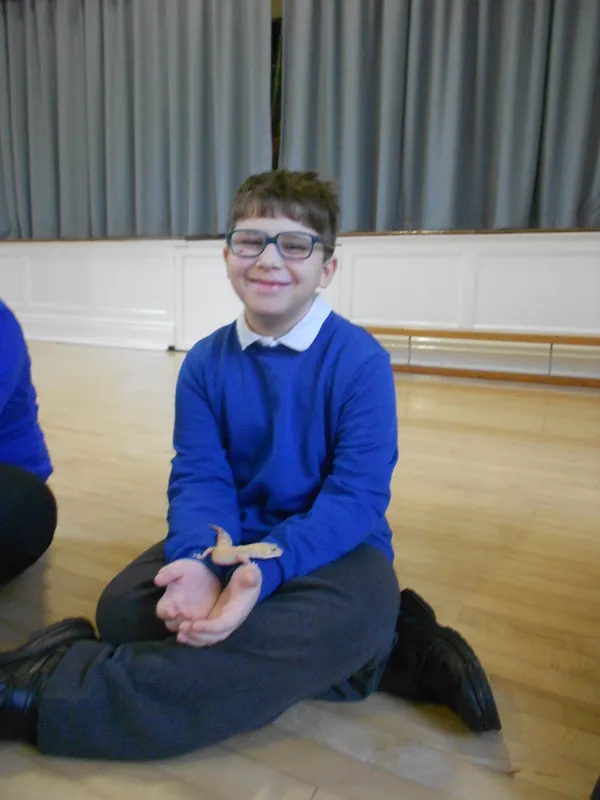 Y6 Reptile Rendezvous - image 43