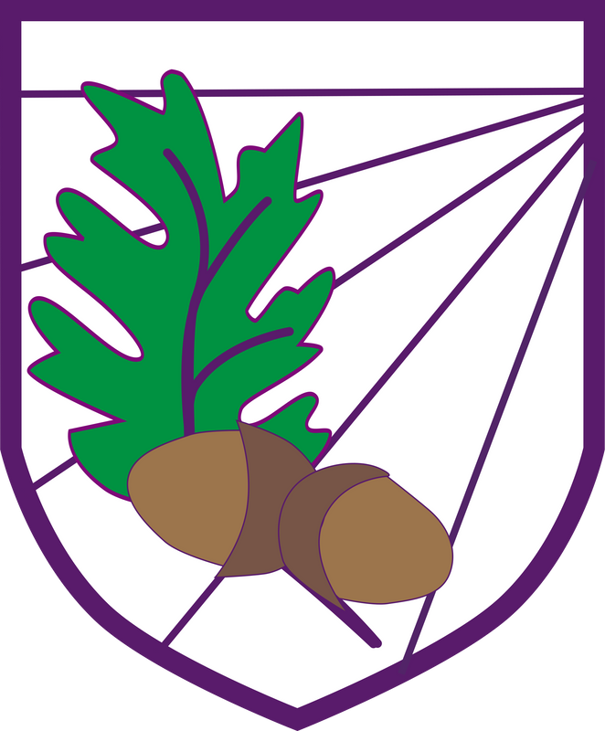 Oak View Primary & Nursery School  - Celebrating Children