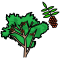 Rowan - Year 3